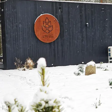 W Lesie Villa Skrwilno Exterior photo